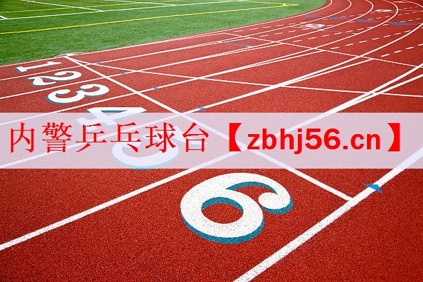 内警乒乓球台